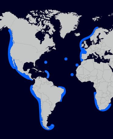 CorPower Ocean - The best wave resources